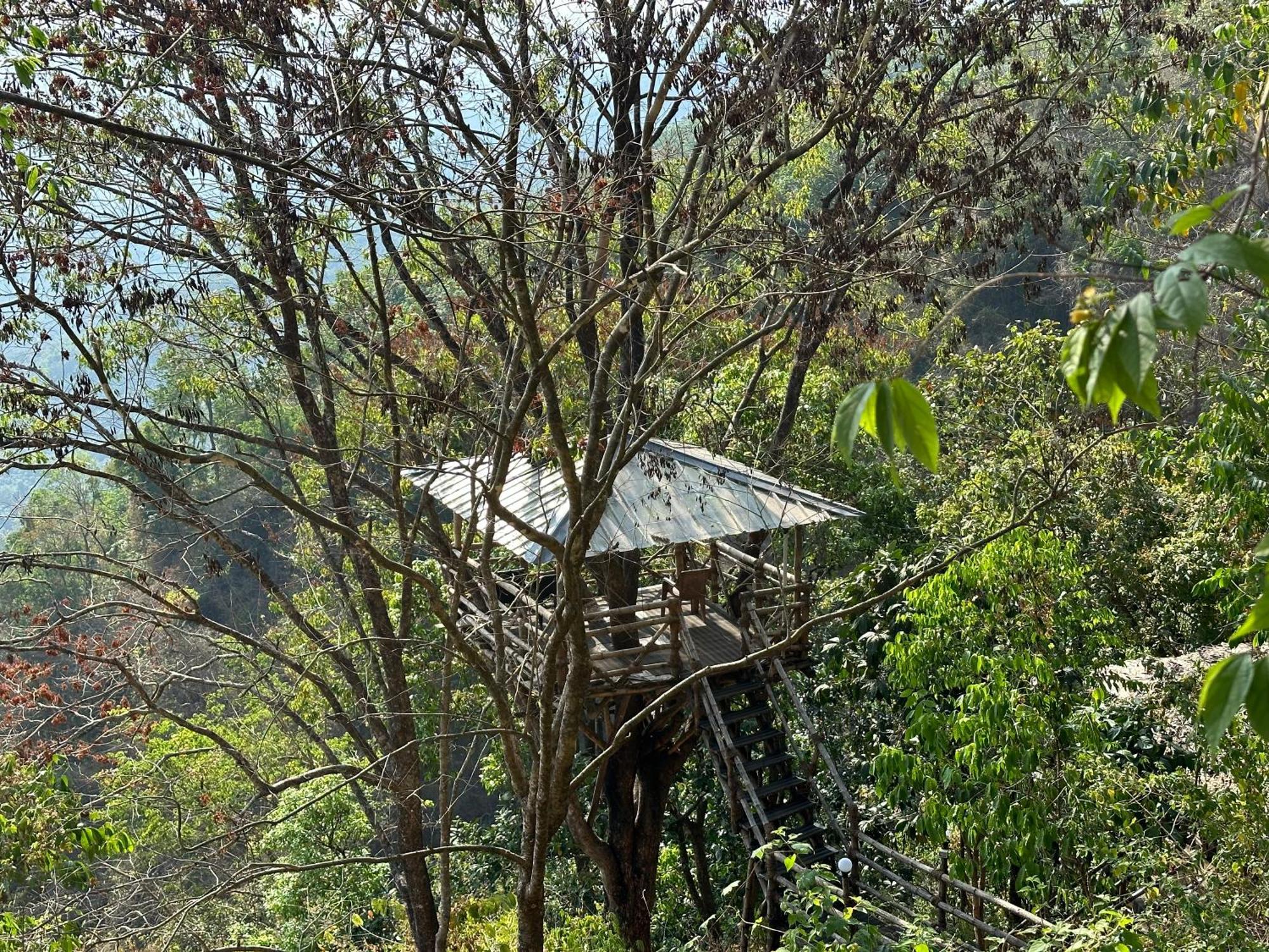 Sunset Valley Kerala Pool Resort - Serene Natural Forest Cottage Stay In Idukki With Sunrise & Sunset Panoramas, Natural Streams & Tranquil Summer Evenings Pīrmed Extérieur photo