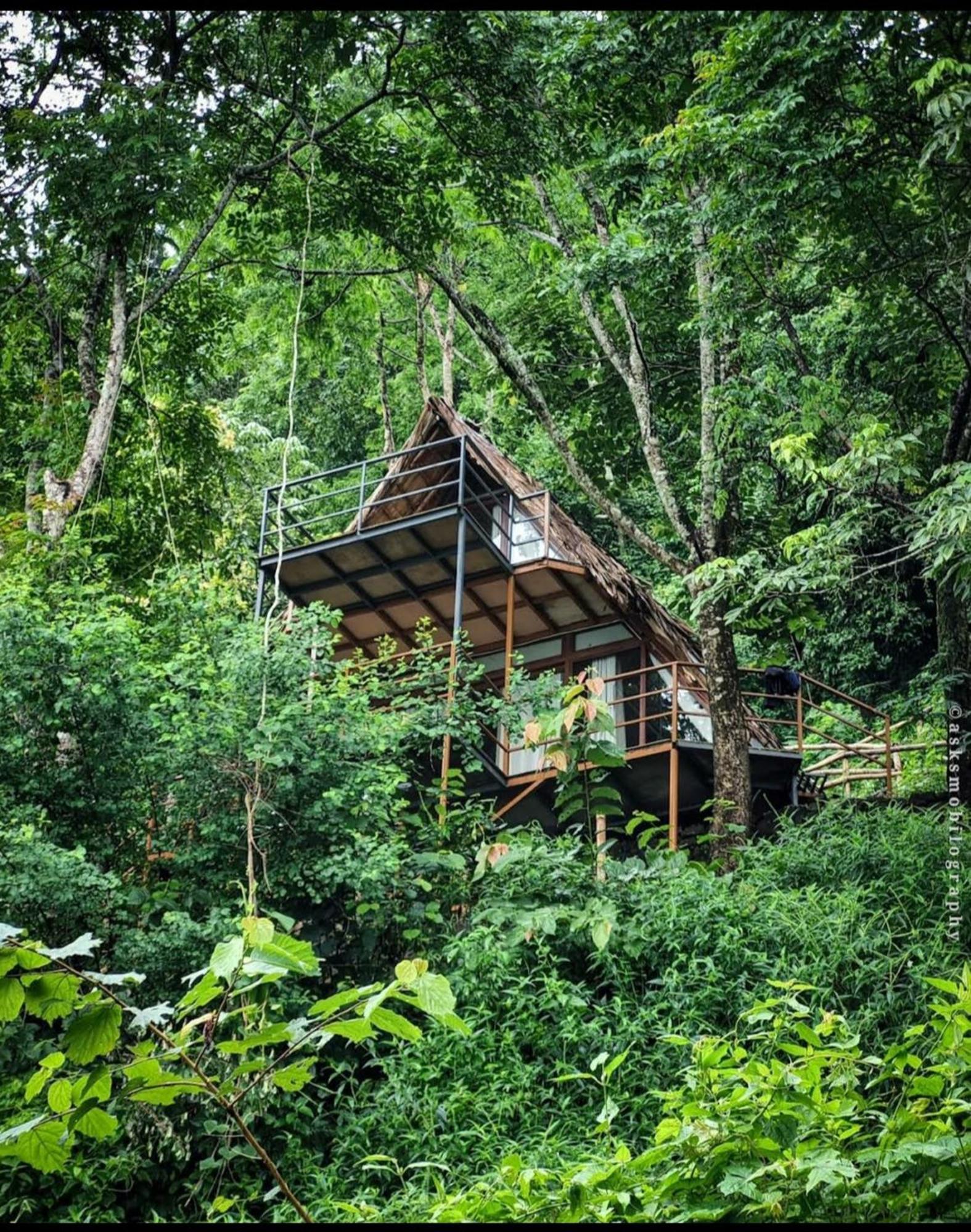 Sunset Valley Kerala Pool Resort - Serene Natural Forest Cottage Stay In Idukki With Sunrise & Sunset Panoramas, Natural Streams & Tranquil Summer Evenings Pīrmed Extérieur photo