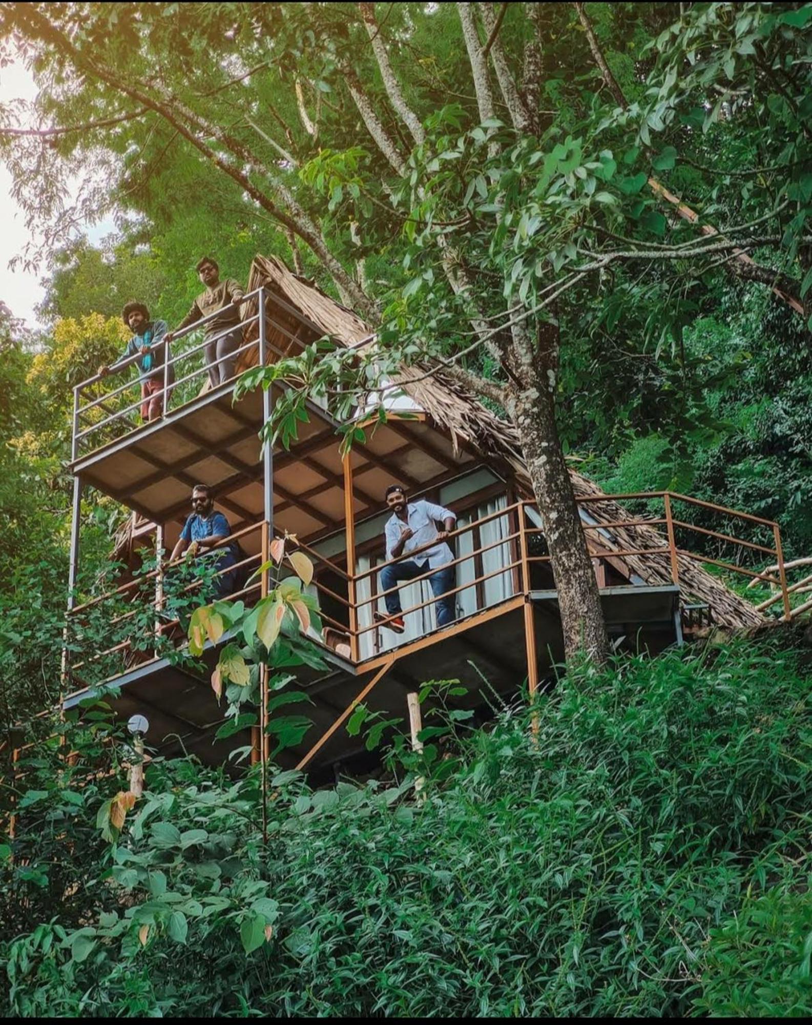 Sunset Valley Kerala Pool Resort - Serene Natural Forest Cottage Stay In Idukki With Sunrise & Sunset Panoramas, Natural Streams & Tranquil Summer Evenings Pīrmed Extérieur photo