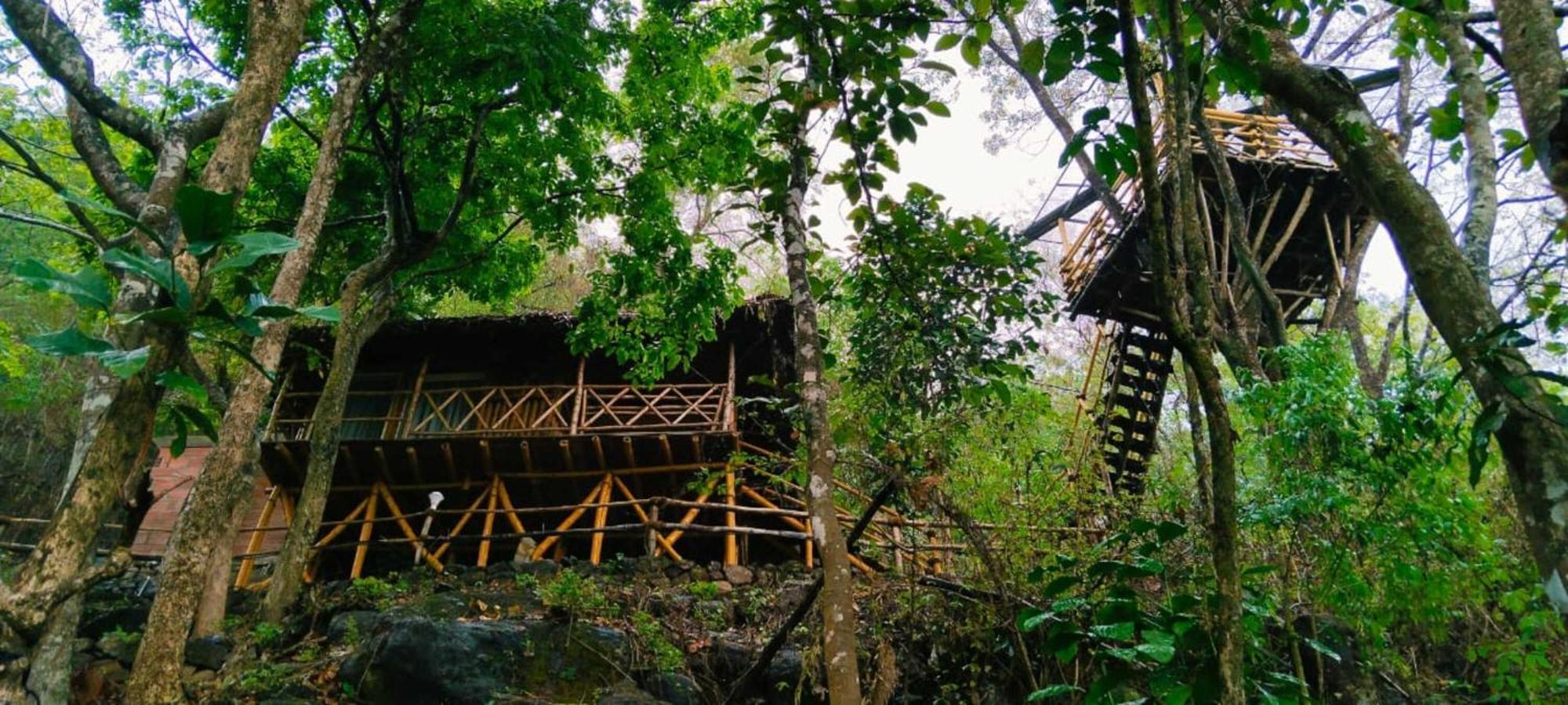 Sunset Valley Kerala Pool Resort - Serene Natural Forest Cottage Stay In Idukki With Sunrise & Sunset Panoramas, Natural Streams & Tranquil Summer Evenings Pīrmed Extérieur photo